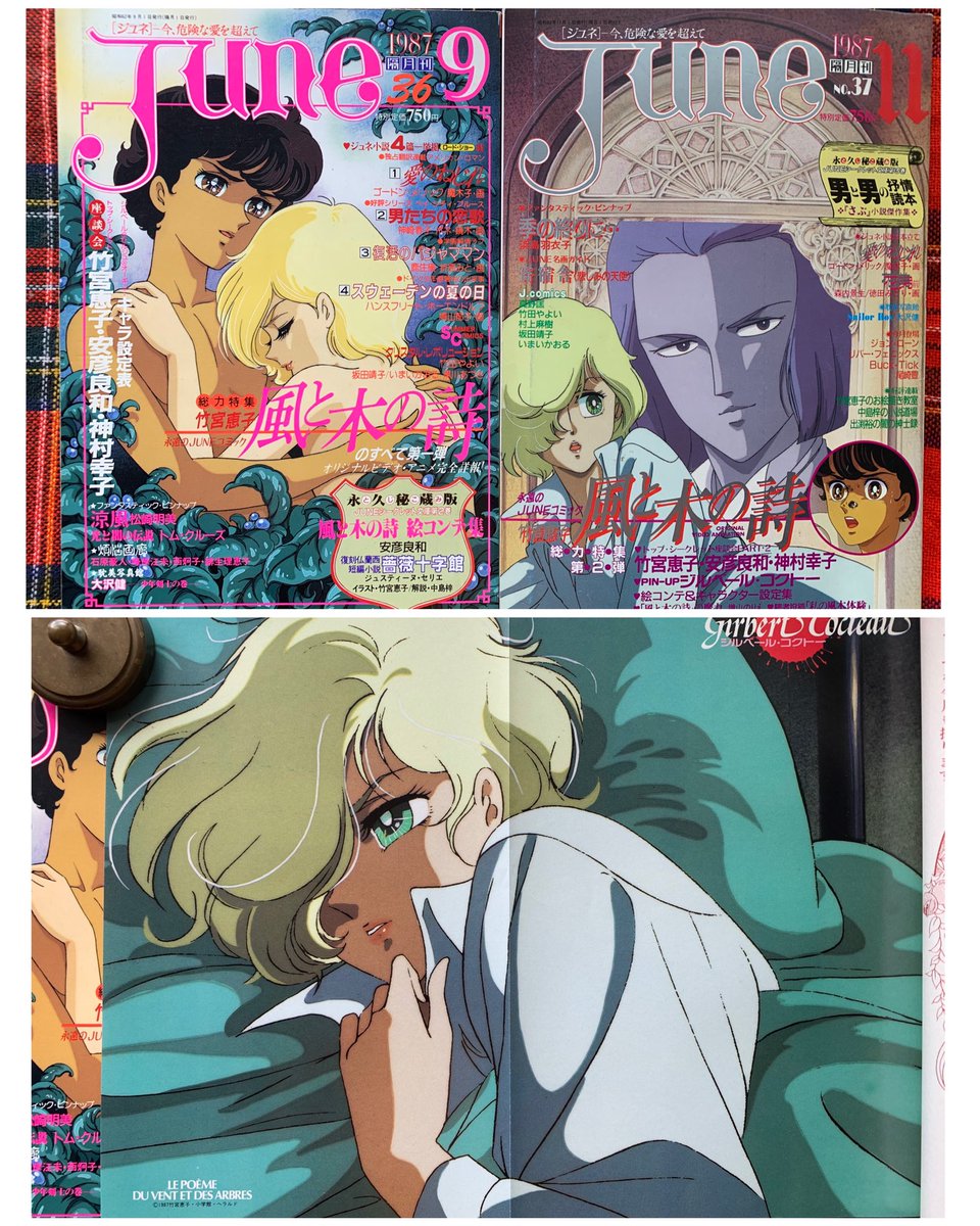 整理ついでに…📚 1987年のJUNEは #風と木の詩 が熱かった 🌹2号連続