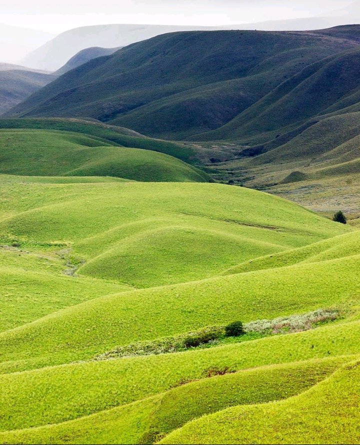 BIASHARACONNEC2's tweet photo. #VisitKitulo
#VisitTanzania https://t.co/wzDS4TNhhC