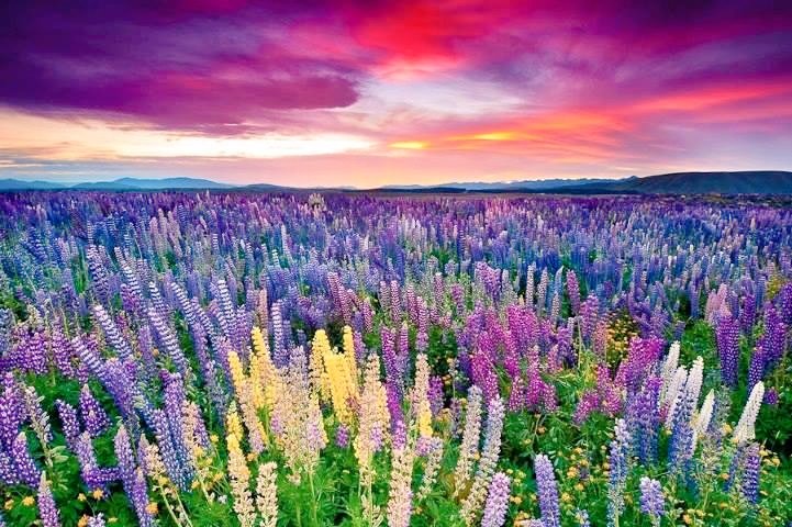 BIASHARACONNEC2's tweet photo. #VisitKitulo
#VisitTanzania https://t.co/SLI9ILu7zk