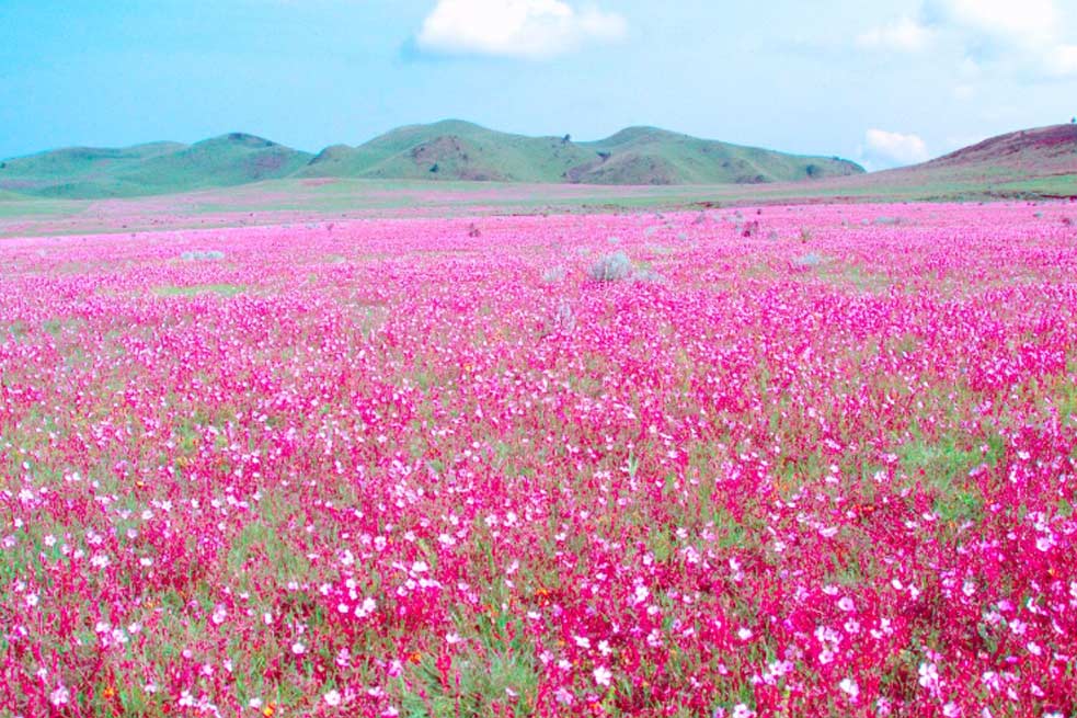 BIASHARACONNEC2's tweet photo. #VisitKitulo
#VisitTanzania https://t.co/SLI9ILu7zk