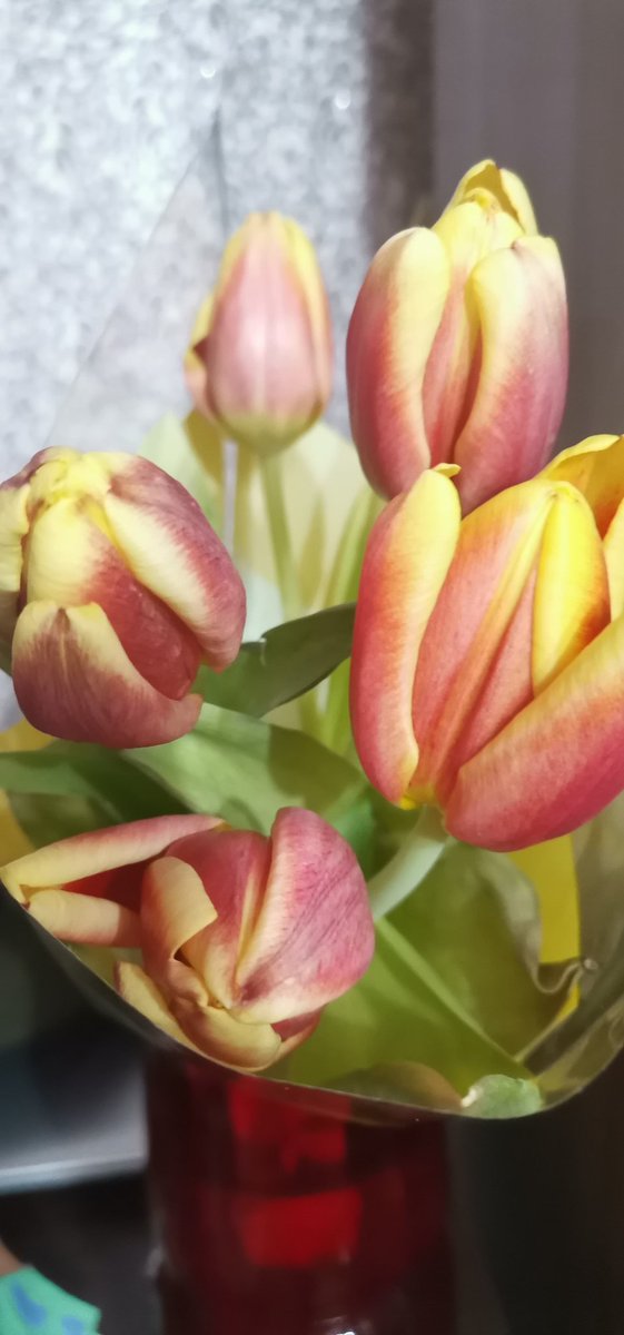 Мистер Лис (@happy_opeh) on Twitter photo 