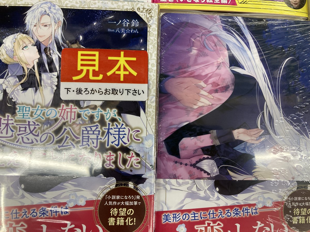 Uzivatel アニメイト和歌山 Na Twitteru 書籍入荷情報 聖女の姉ですが なぜか魅惑の公爵様に仕えることになりました 錬成師アリアは今日も頑張ります 妹に成果を横取りされた錬成師の幸せなセカンドライフ 小説家になろうの話題作がついに書籍化です