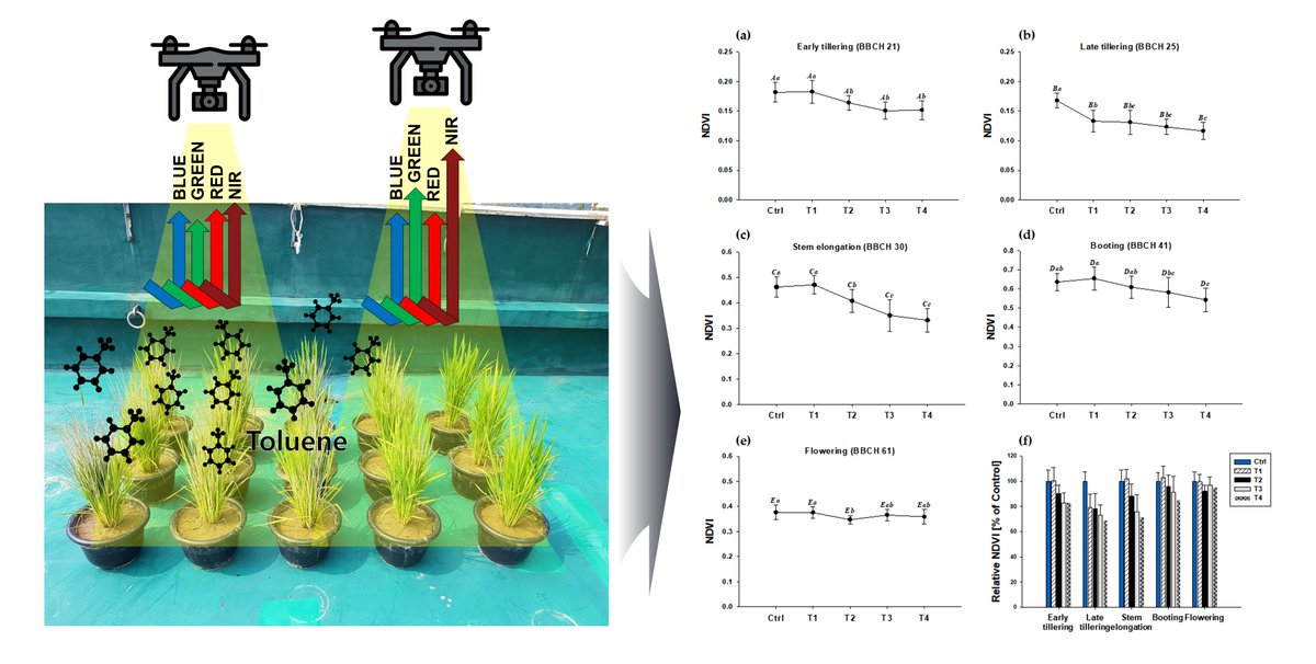 RemoteSens_MDPI's tweet photo. Damage Assessment of #Rice #Crop after Toluene Exposure Based on the #VegetationIndex (VI) and #UAV #MultispectralImagery
by Hyewon Kim, Woojung Kim and Sang Don Kim
👉https://t.co/mx4eTZmumS
#remotesensing https://t.co/jtXetiUDf8