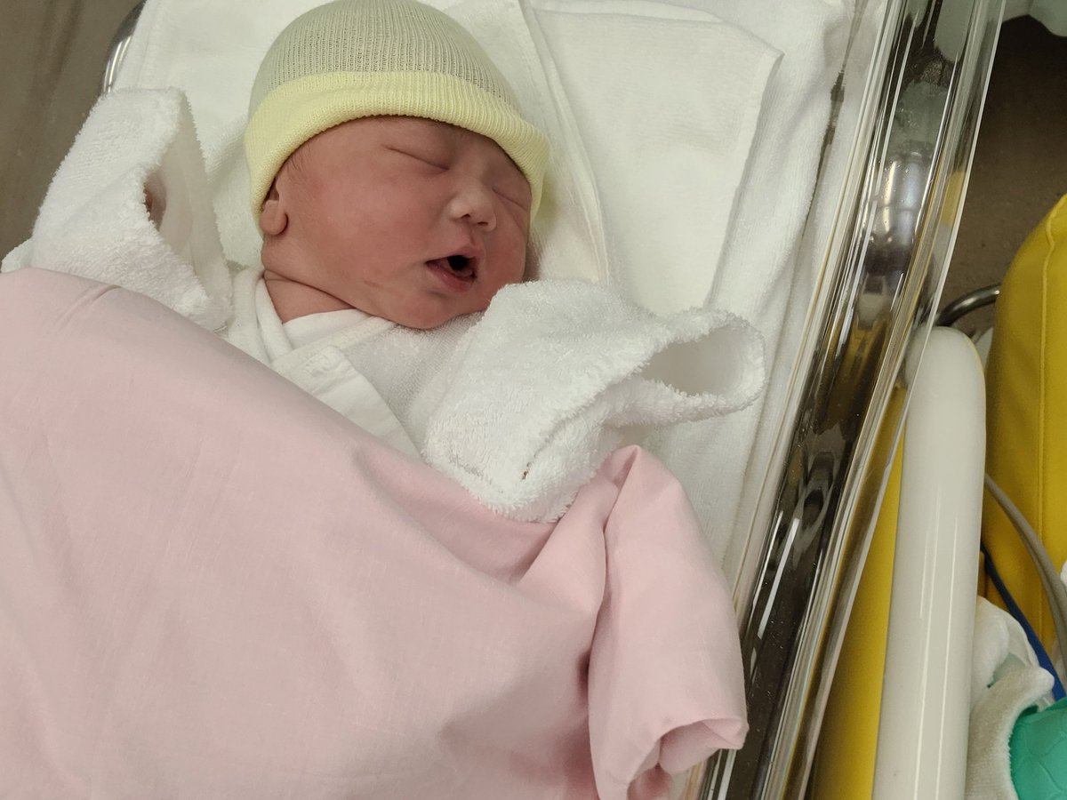 みけtろす tweet media