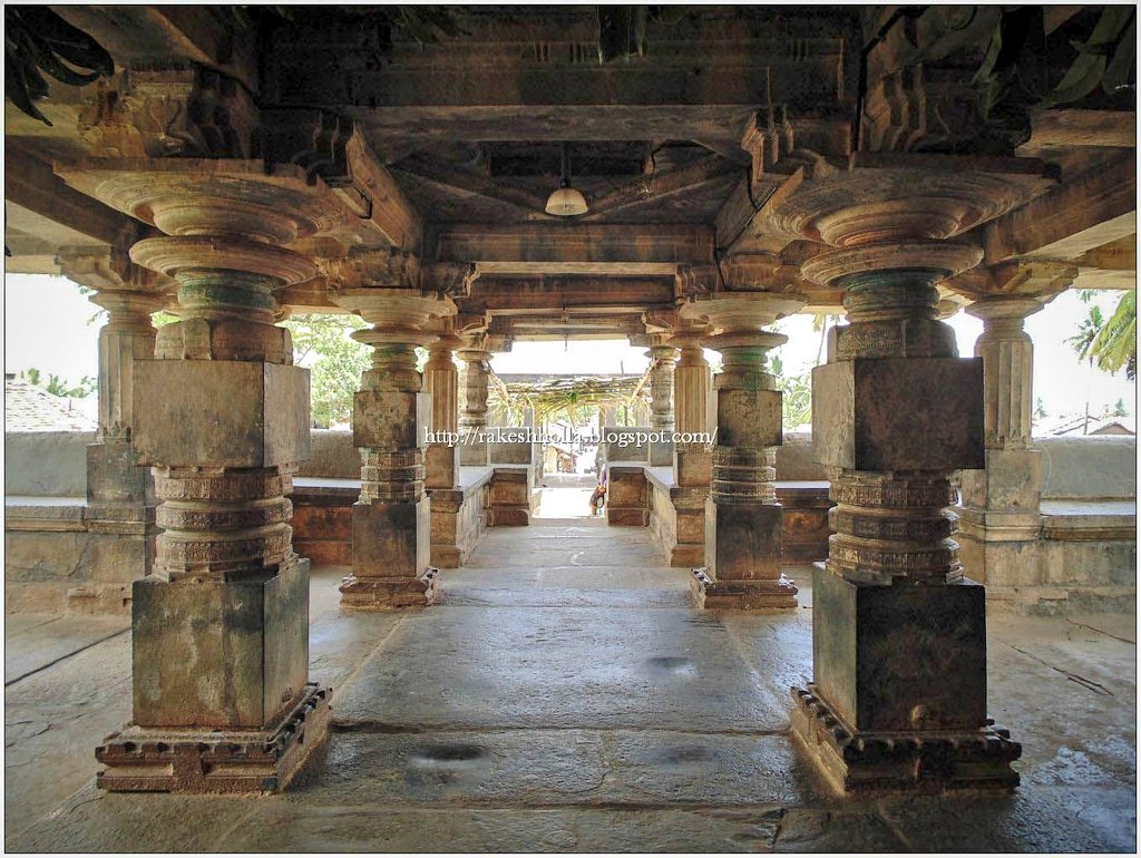 Squeegee Beckenheim (wonderwomeow) / Twitter