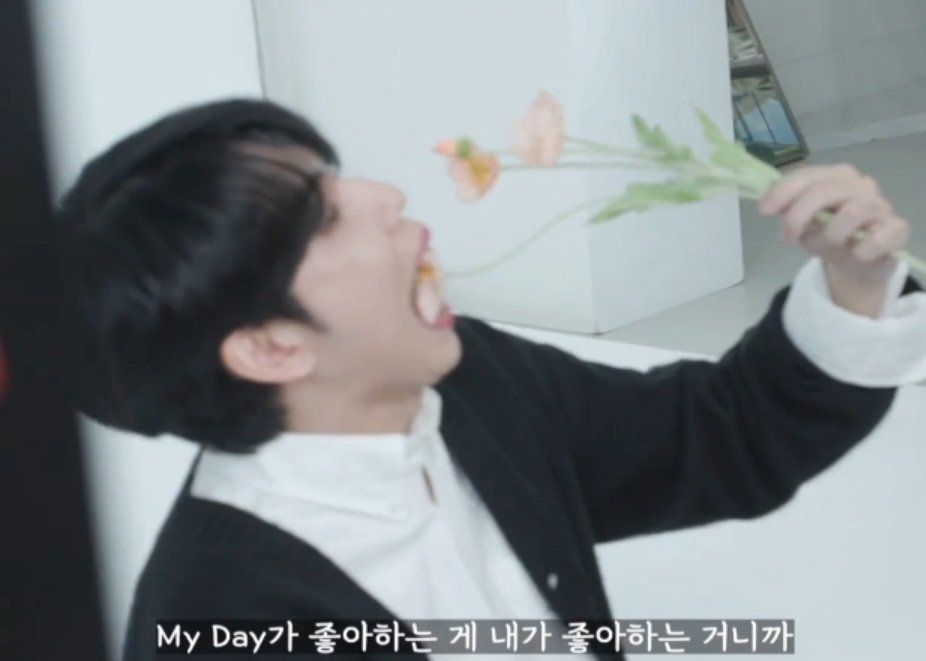 꽃 먹는 모습을 좋아해 본 적은 없지만