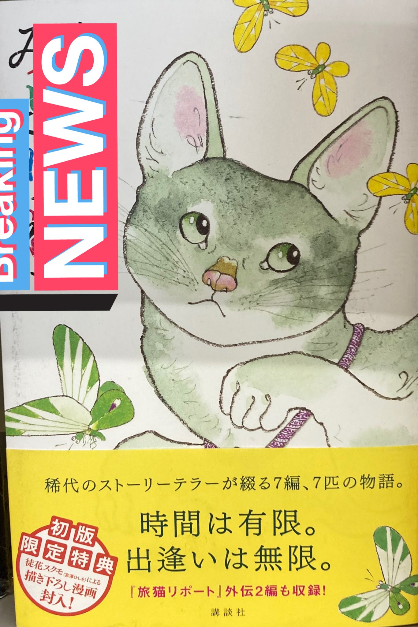 札瀬 ガチャ禁するぽょ あきにゃの猫さん でたわね T Co 0nxpbbr4z5 Twitter