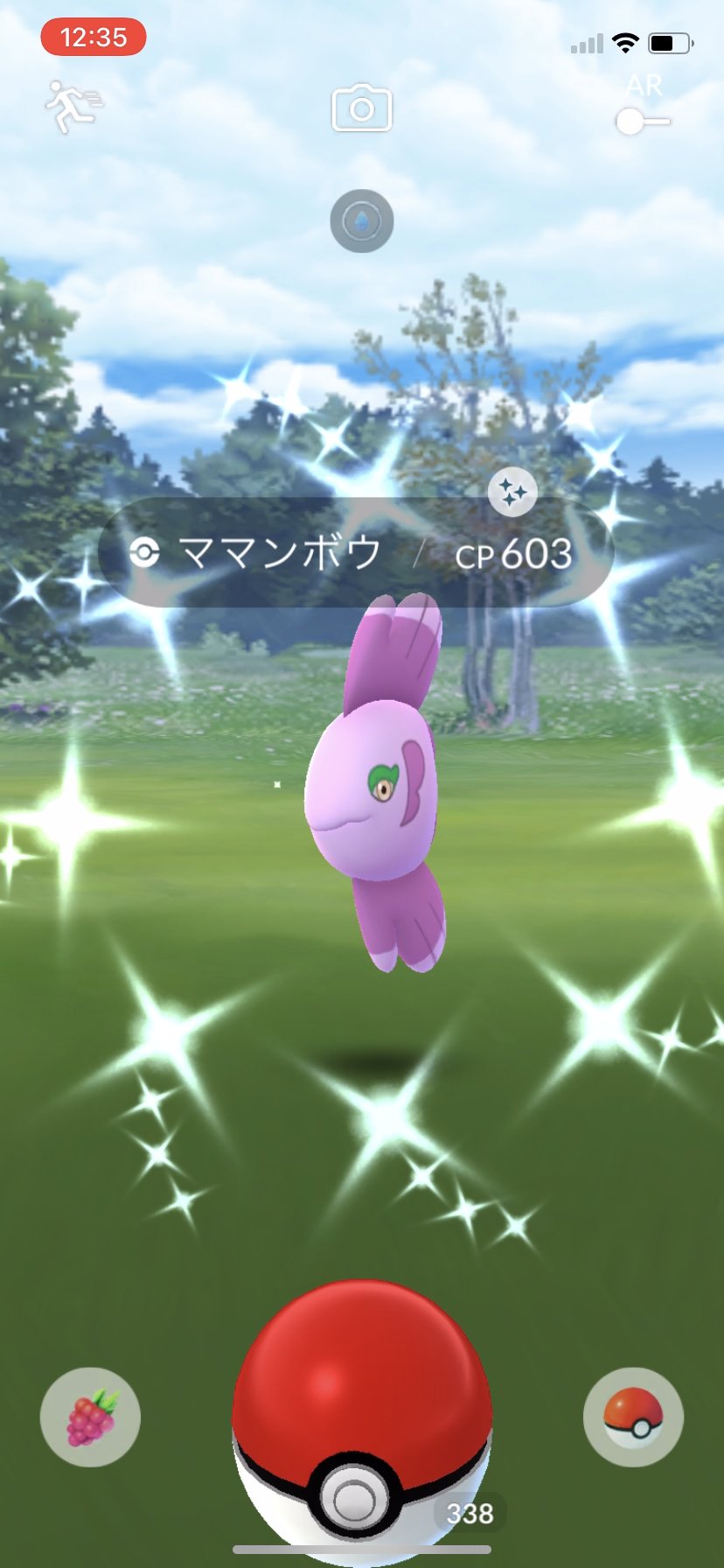 Team かめぽん フシギダネlove Reiwapoket Twitter