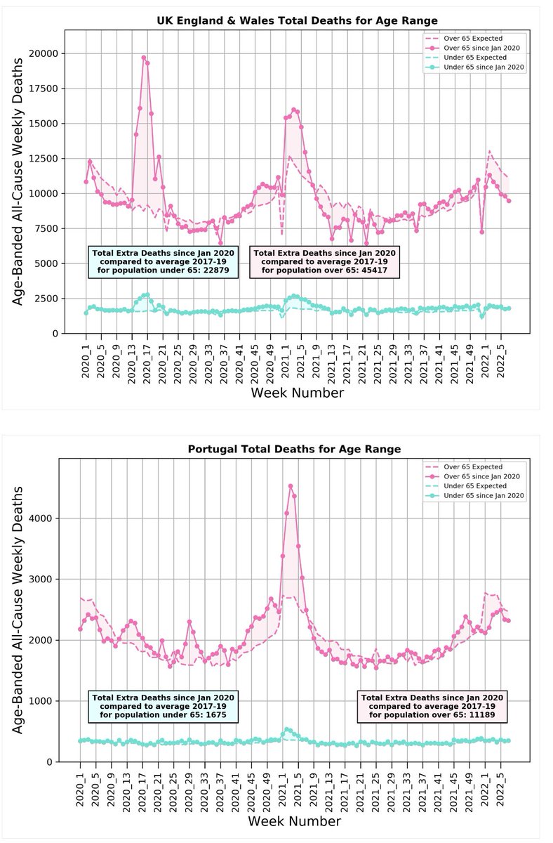 Michael Levitt tweet media