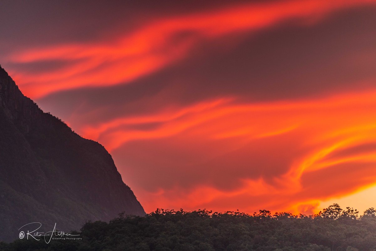 GreenFrogPhotog's tweet photo. One the most amazing sunsets I've seen. Taken near Mt Beerwah with clouds that look more like flames.
@CanonAustralia @MySunshineCoast @sunshinecoastoz @Australia @Queensland #GlasshouseMountains #Qld https://t.co/pWlTtPANyR