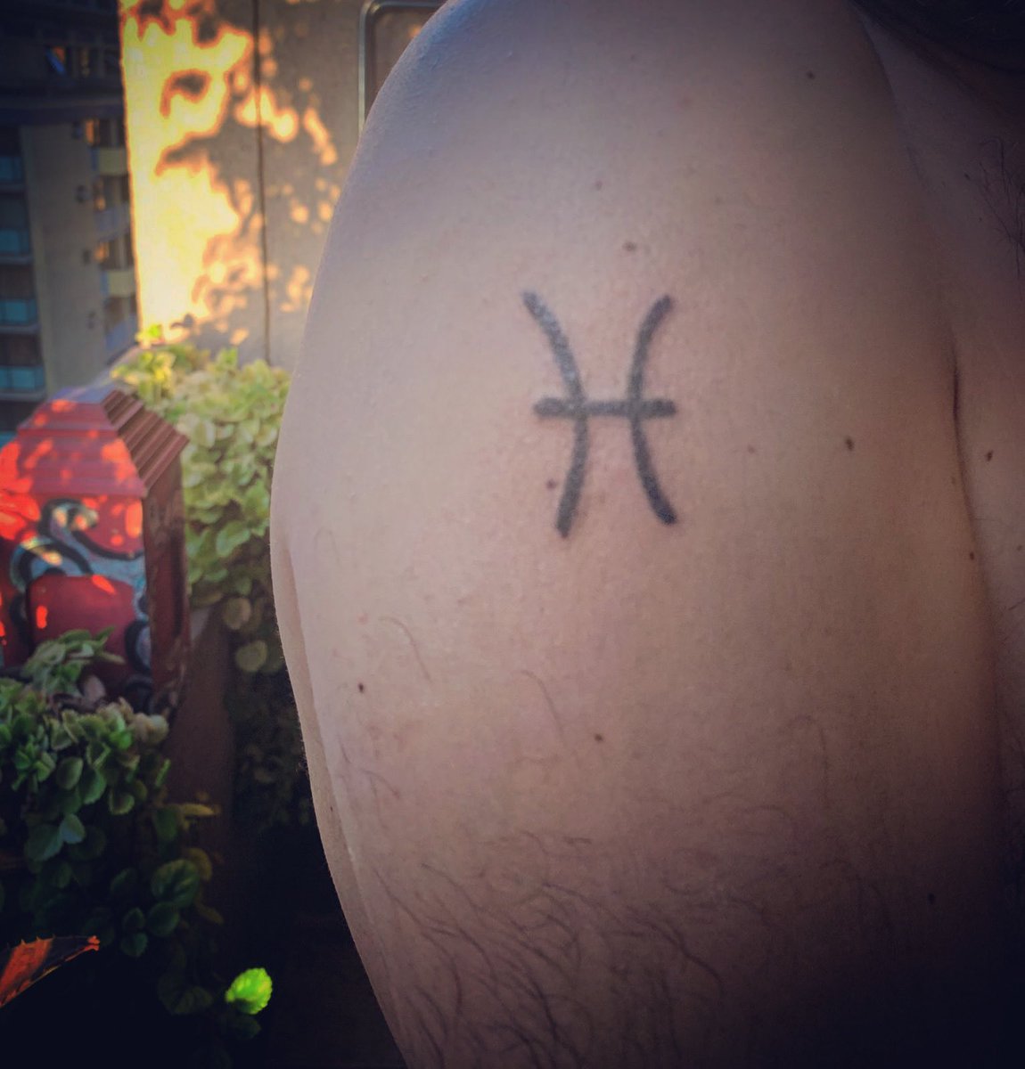 #nuevociclo ❤️🌟🙏🏻