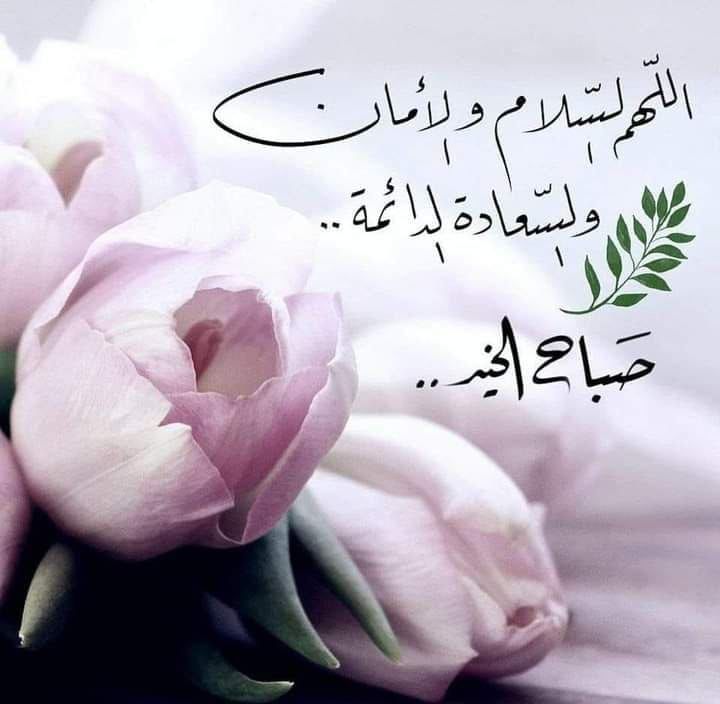 💙
كن شخصاً طيباً مع الذين تمر بهم وأنت صاعد على القمه لأنك ستلتقيهم عندما تهبط منها..
فلا أحد يبقى على القمه طوال الحياه💔قم انهض .. غير المكان تتغير حياتك .. غير الرواية واستمتع بقصة أخرى .. غير الأشخاص وتعرف على وجوه جديدة .. لا تحصر نفسك بقوقعه.. "غَيِّر تتغير".