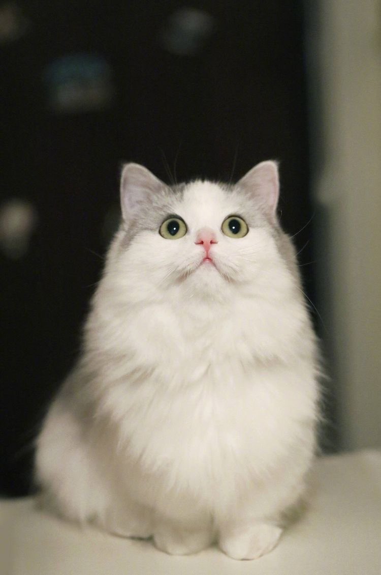 do you see the difference?🥺
#BTS #BTSSUGA #SUGA