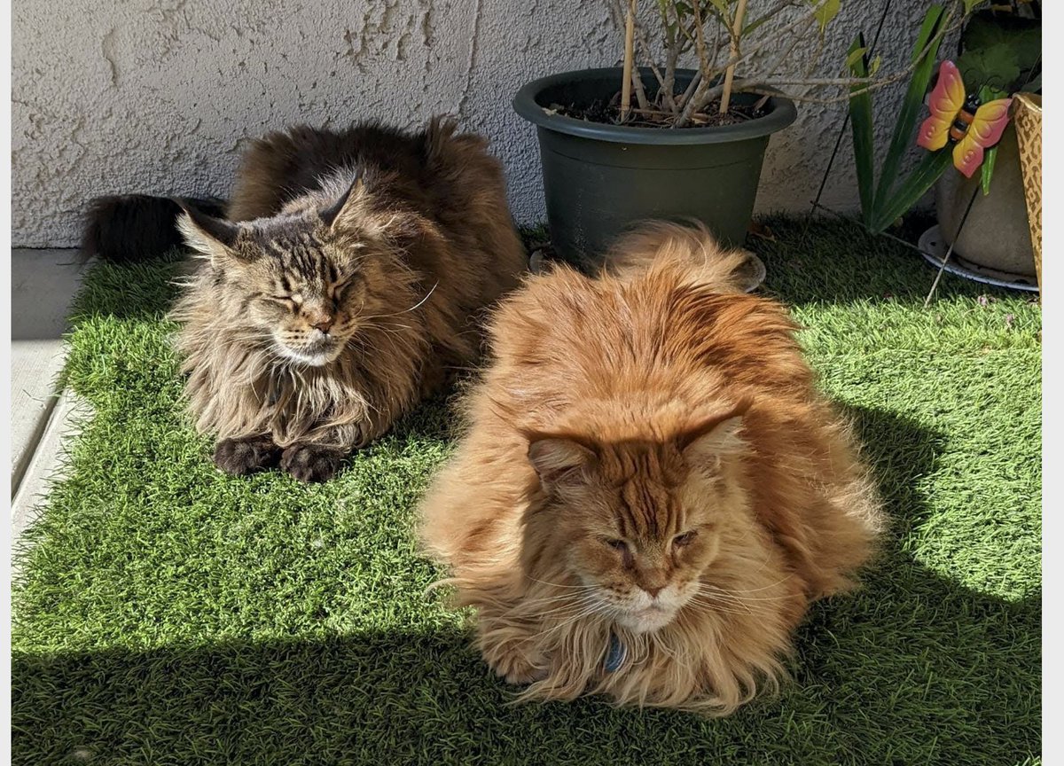 SoCal Python tweet media