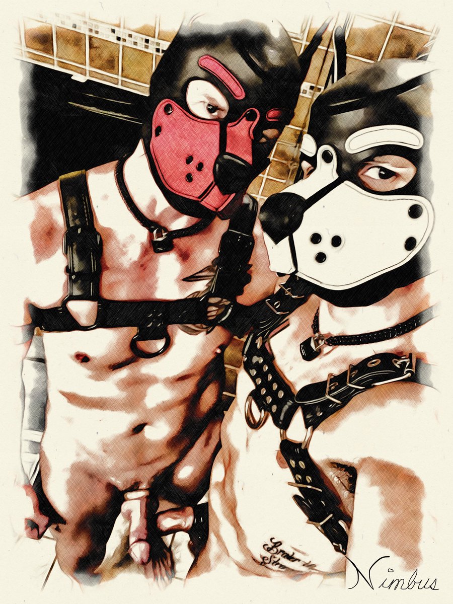 TheMatchedPups's tweet photo. When life imitates … Arf! #humanpupplay #gaypuppyplay #kinkmen #PupPlay https://t.co/9DCI5NssXf