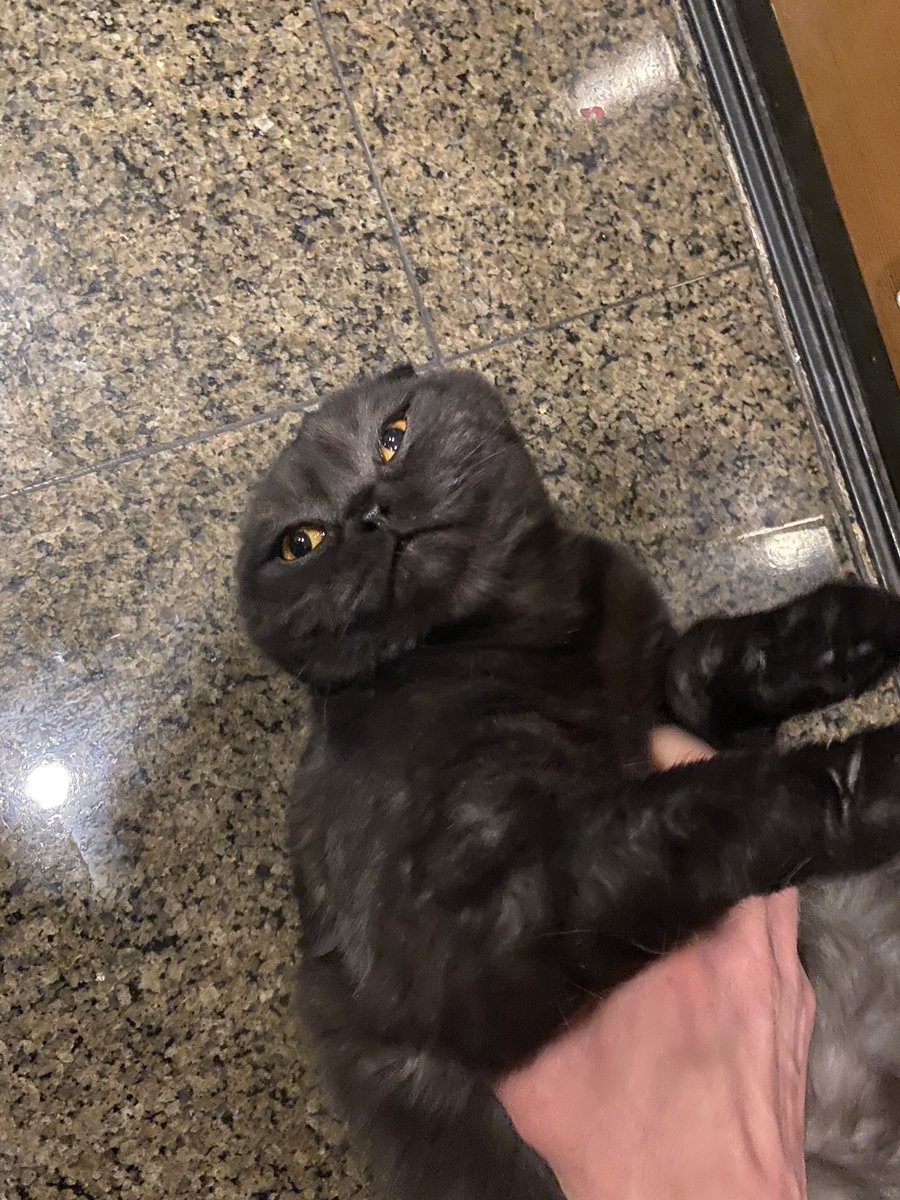 Daily Dose tweet media