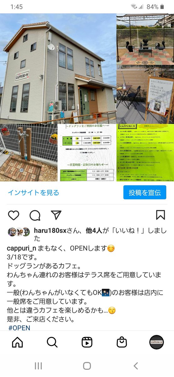 limpingbeetle's tweet photo. #松山市ドッグカフェ
 #CAPPURI_N (カプリーン) https://t.co/KRCWjQV7nb