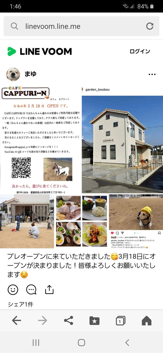 limpingbeetle's tweet photo. #松山市ドッグカフェ
 #CAPPURI_N (カプリーン) https://t.co/KRCWjQV7nb