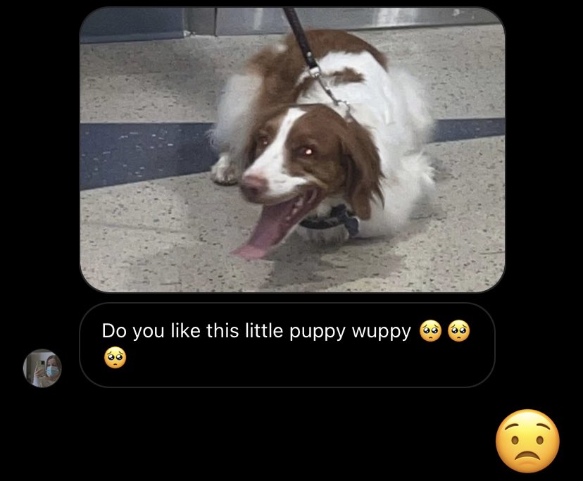 idrlpb's tweet photo. Things that made me chuckle https://t.co/vdkbQfuoYn