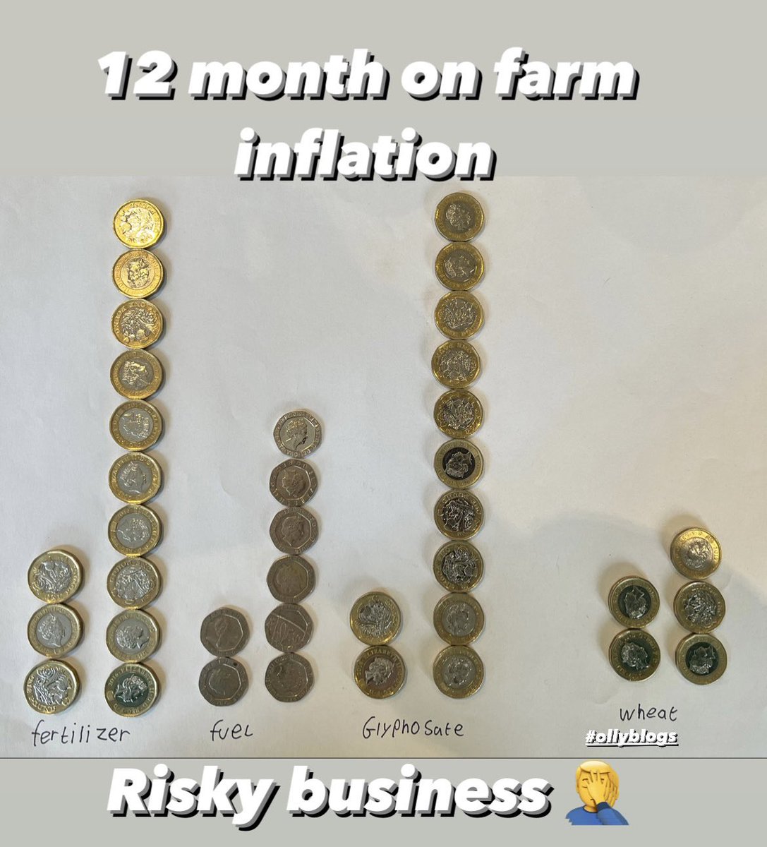 How the risk in growing wheat has gone up in 12 months on farm 😳 
In one picture 
<a href="/BBCNWT/">BBC North West</a> @BBCCountryfile <a href="/BBCBreakfast/">BBC Breakfast</a> <a href="/DefraGovUK/">Defra UK</a> <a href="/NFUtweets/">National Farmers' Union</a> <a href="/BorisJohnson/">Boris Johnson</a> <a href="/MPGeorgeEustice/">GeorgeEusticeMP</a>