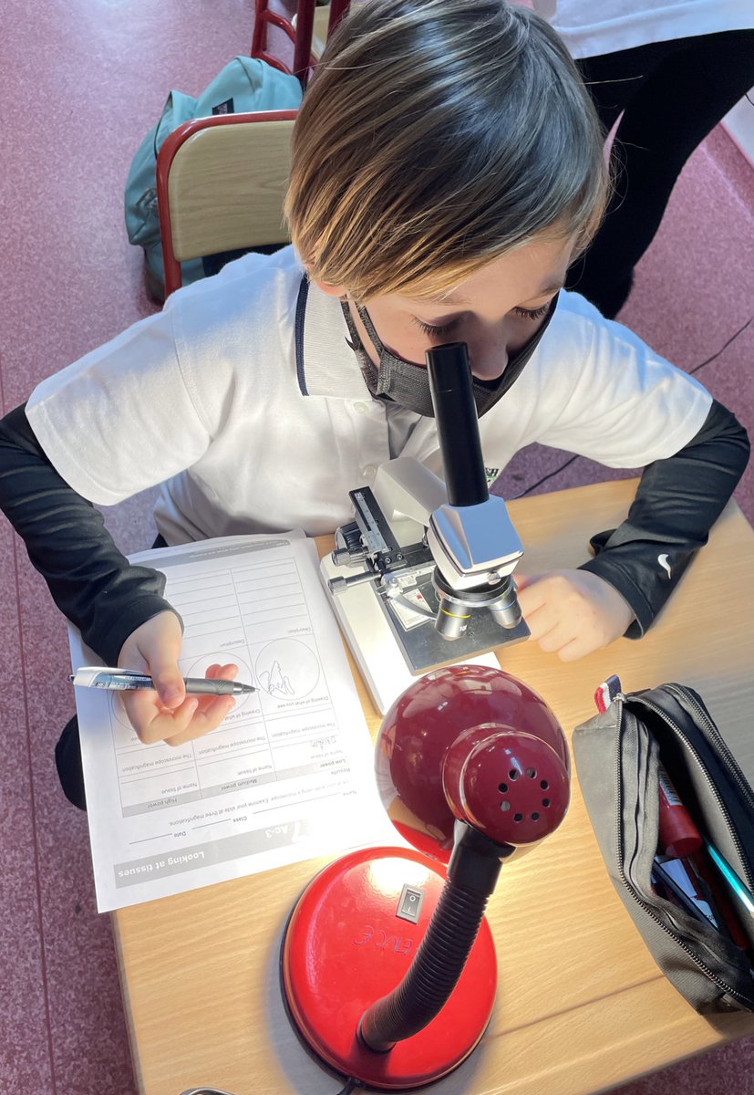 amy_clack's tweet photo. Practice makes perfect 👏🏻 Year 7 students developing their microscope skills while following guidelines for scientific drawings @BISIstanbul 🔬✍️ #year7science #microscopymonday https://t.co/0qhm6Y7Lo0