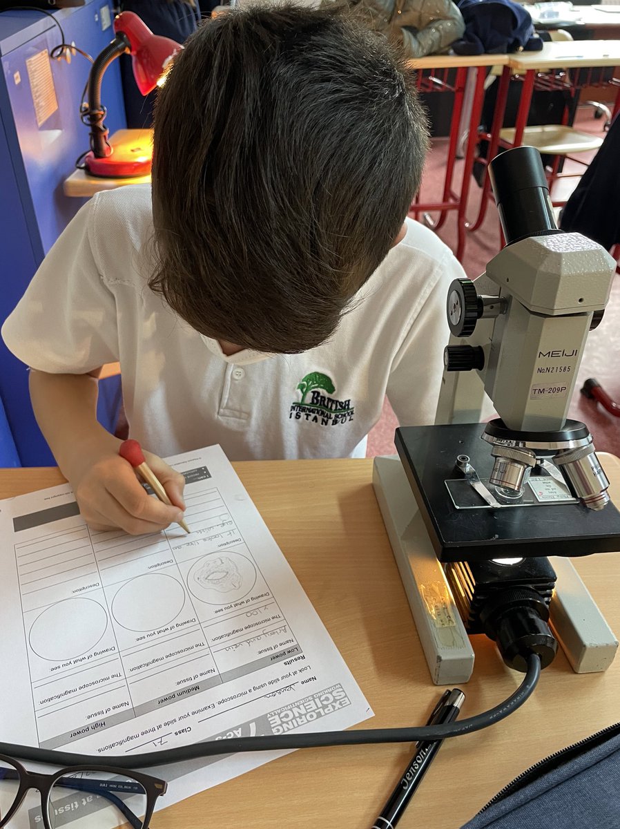 amy_clack's tweet photo. Practice makes perfect 👏🏻 Year 7 students developing their microscope skills while following guidelines for scientific drawings @BISIstanbul 🔬✍️ #year7science #microscopymonday https://t.co/0qhm6Y7Lo0