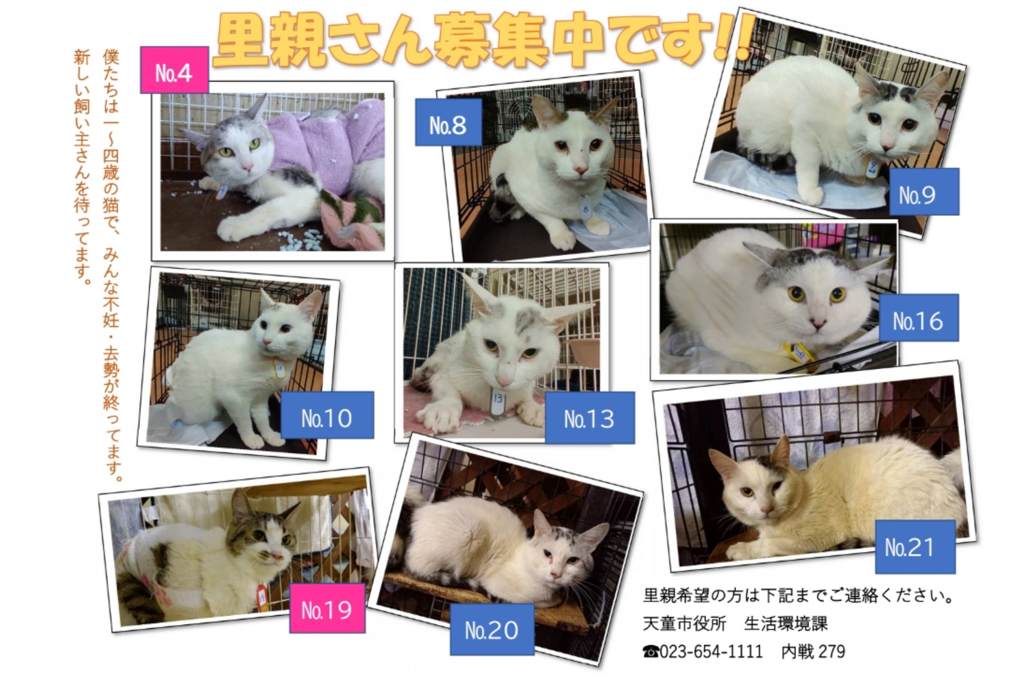 えんたね Entane50 Twitter