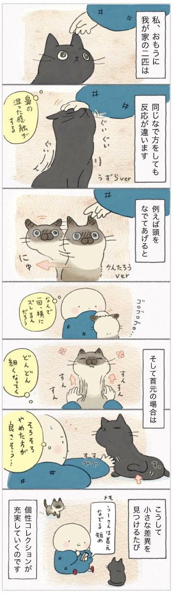 伸び～る猫、細～くなる猫。なでる手の平に対する猫の反応の違い【連載】ねこ連れ草 218話め|ねこのきもちWEB MAGAZINE https://t.co/dPpJxUGEWu 