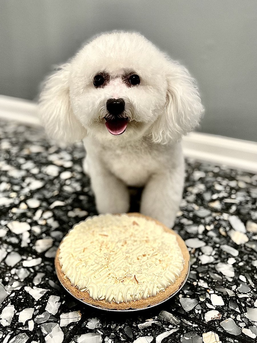 ChinhDoan's tweet photo. ๐Wrapped up Pi Day with pizza pie and coconut creme pie๐ฅง
Anyone else love celebrating small โholidays?โ ๐
#PiDay #PiDay2022 #March14 #PiDayPie #PizzaPie #PizzaLover #PizzaTime #pizzalovers #Foodie #TulsaFoodie #TulsaFood #Tulsa #TulsaRestaurants #tulsafoodies #TulsaFoodScene https://t.co/157Xl8cahD