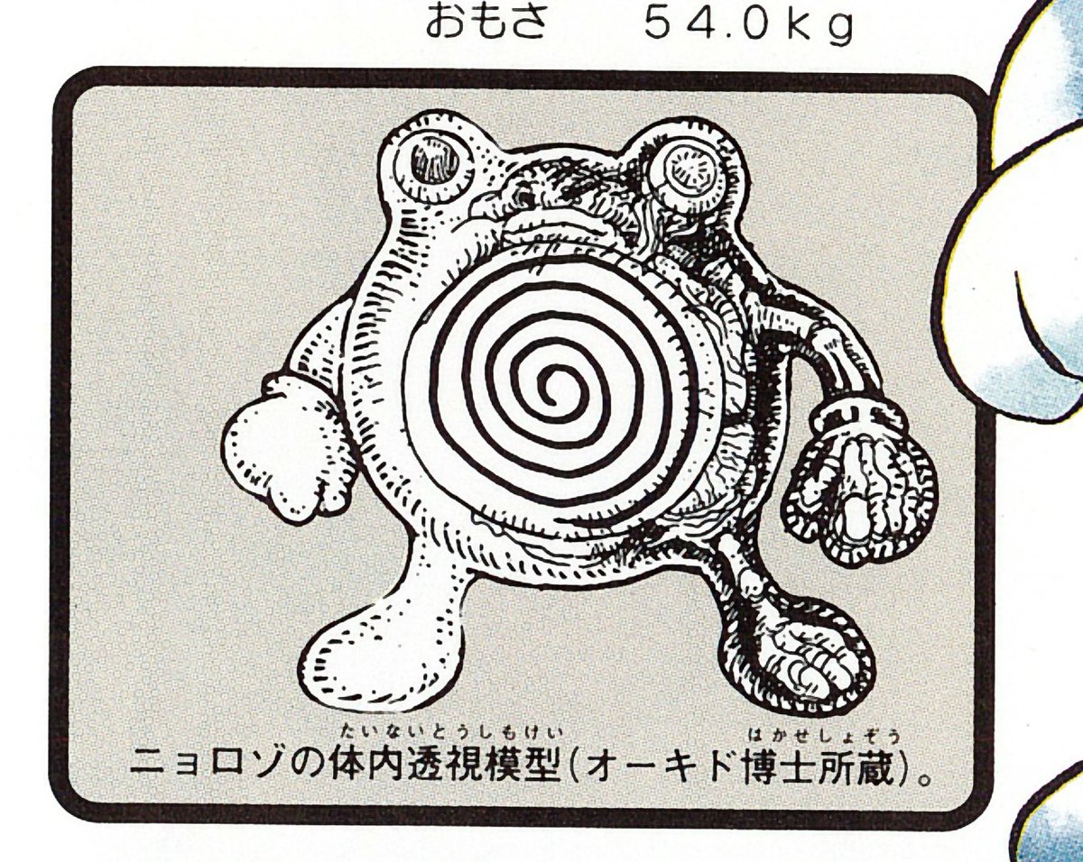 The encyclopedic drawings in this are WILD https://t.co/AXYlHnJY66 