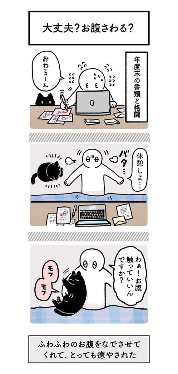 『猫の手も借りたい』状況の飼い主 猫の行動に「すごすぎる!」「脱帽した」 https://t.co/e7qwi6saeD @grapeejpより 