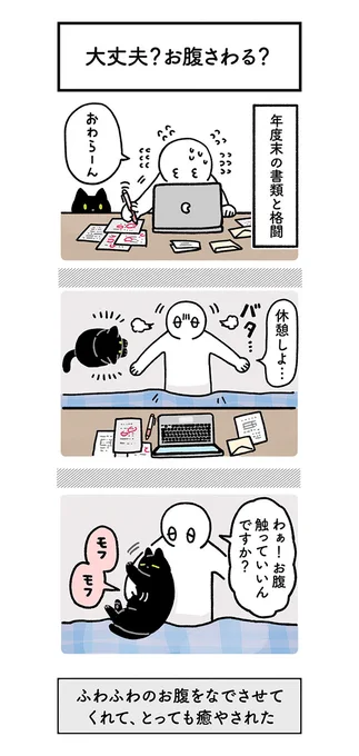 『猫の手も借りたい』状況の飼い主 猫の行動に「すごすぎる!」「脱帽した」 https://t.co/e7qwi6saeD @grapeejpより 