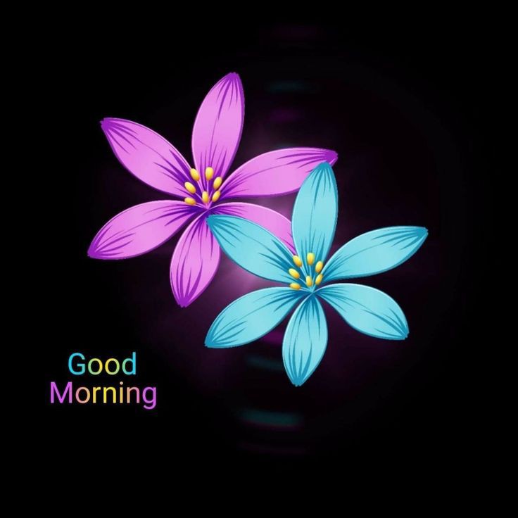 likee_sun's tweet photo. @IraqRev صباح الخير
#قروبات_البابلي_للاضافات https://t.co/ppJ8Qy6swe