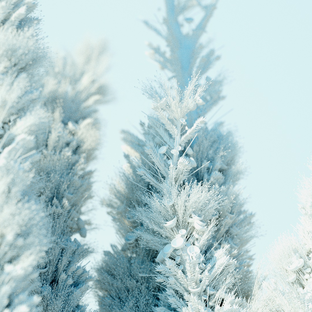 Kimko92's tweet photo. I made somethings, botanics in my dream. It was superfun to play with this kinda things 😍!

#NFT #NFTart #houdini #redshift https://t.co/5ZAmM4tYkG
