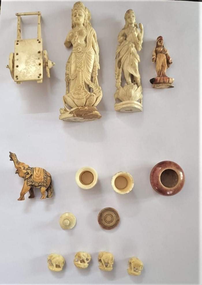 Wildlife Crime Control Bureau (@wccbhq) on Twitter photo Committed to end wildlife crime!
In a major operation, several #elephant #ivory #articles were seized and one person was arrested by joint team of <a href="/WCCBHQ/">Wildlife Crime Control Bureau</a> & DFO Madurai, TNFD, at #Madurai, Tamil Nadu, on 13-03-2022. Committed to end wildlife crime!
In a major operation, several #elephant #ivory #articles were seized and one person was arrested by joint team of <a href="/WCCBHQ/">Wildlife Crime Control Bureau</a> & DFO Madurai, TNFD, at #Madurai, Tamil Nadu, on 13-03-2022.