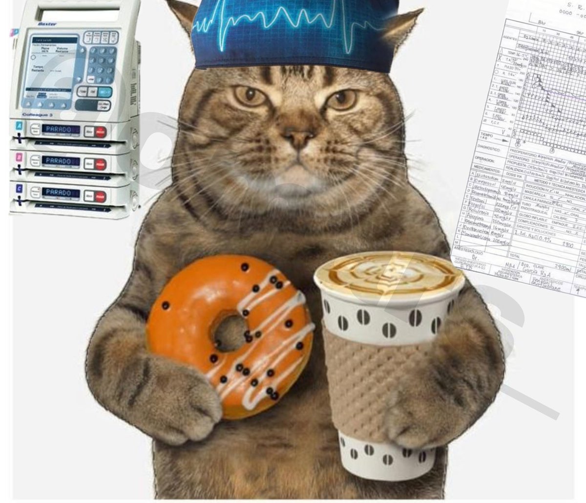 OmarS_V's tweet image. Llegando a la Guardia.
Enojado pero preparado