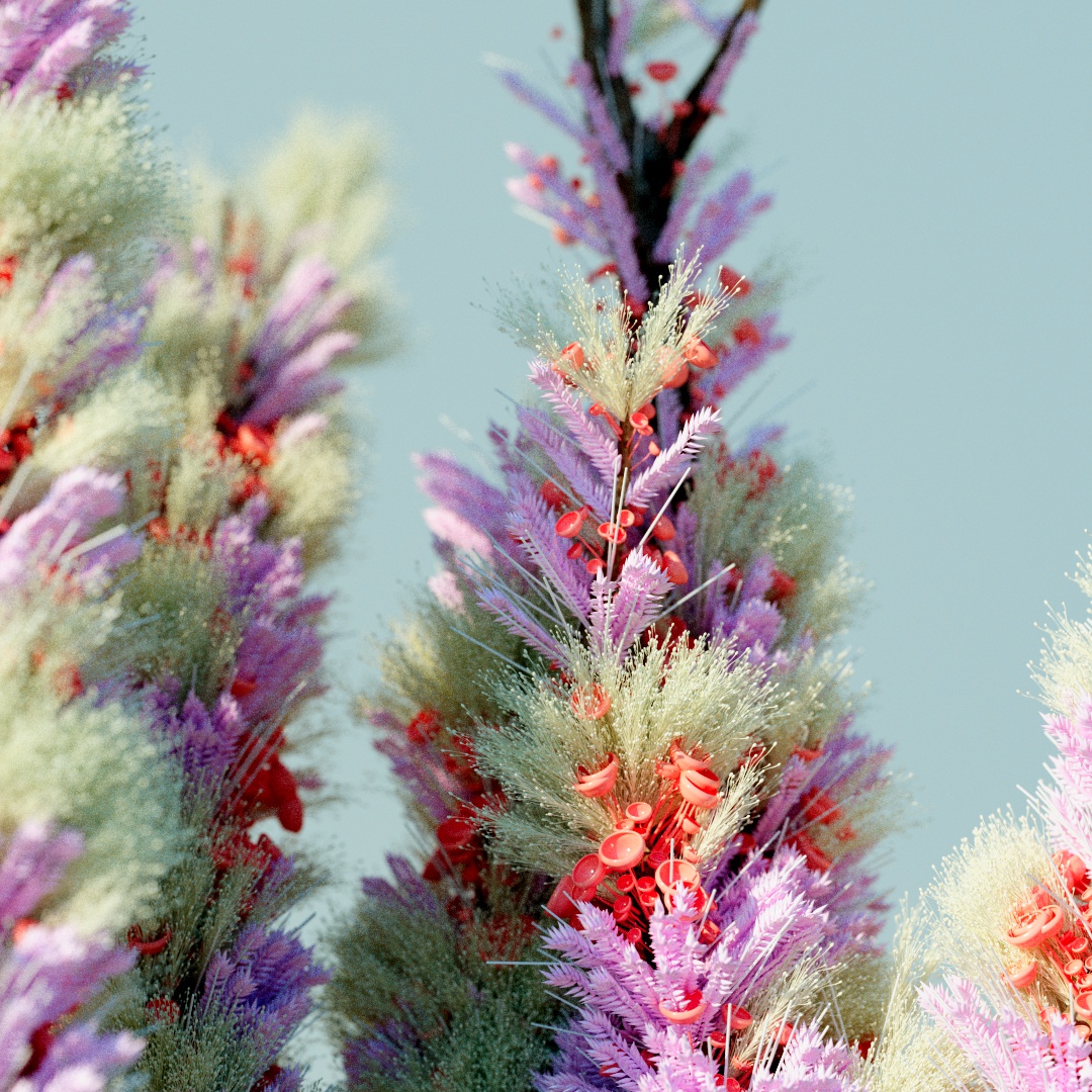 Kimko92's tweet photo. I made somethings, botanics in my dream. It was superfun to play with this kinda things 😍!

#NFT #NFTart #houdini #redshift https://t.co/5ZAmM4tYkG