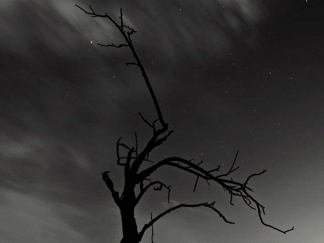 fotografiar_me's tweet photo. under the stars https://t.co/GTU9UjIZ8X