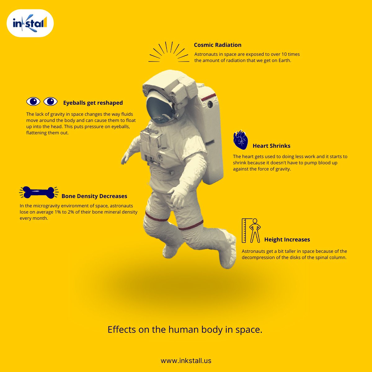 Inkstall's tweet photo. Radiation Exposure is the biggest problem that the astronauts currently face on their bodies in space as it may have bad long-term effects.
#space #spacetravel #humanbody #nasa #nasaastronaut #spacex #cosmicradiation #infographic #infographics #visualinformation #minimal #Mars https://t.co/KSRvmMeVb7