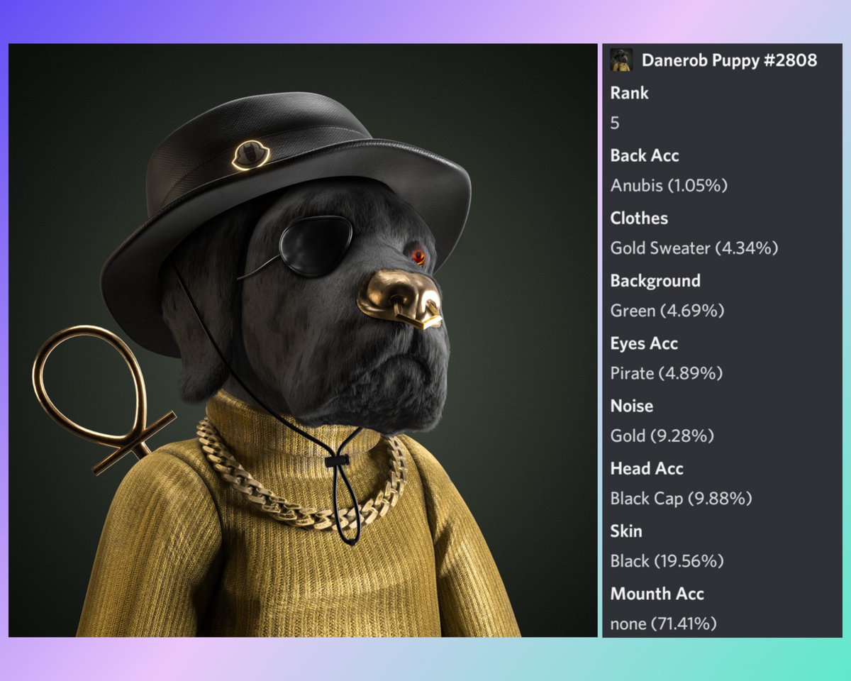 miedzybrodzki's tweet photo. Gm #Danerob #community ‼️ Rank 5 puppy with #anubis acc found a stable home in LTH wallet ‼️ 💎🙌
@DanerobNFT #SolanaNFTs #MagicEden https://t.co/UY6PGzuUdD