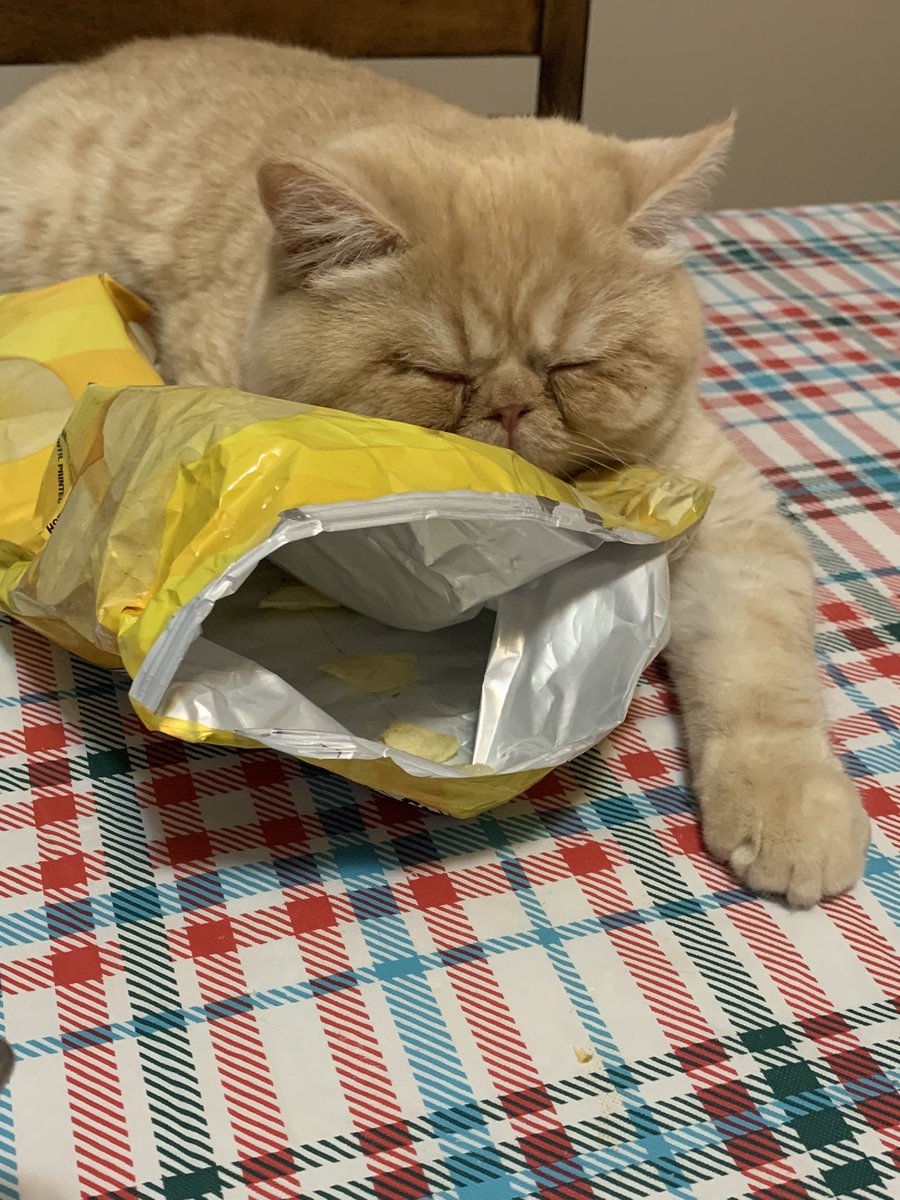 X2000VoltsX's tweet photo. All the air in these @LAYS makes for a very comfy pillow https://t.co/BKE31ND2Lp