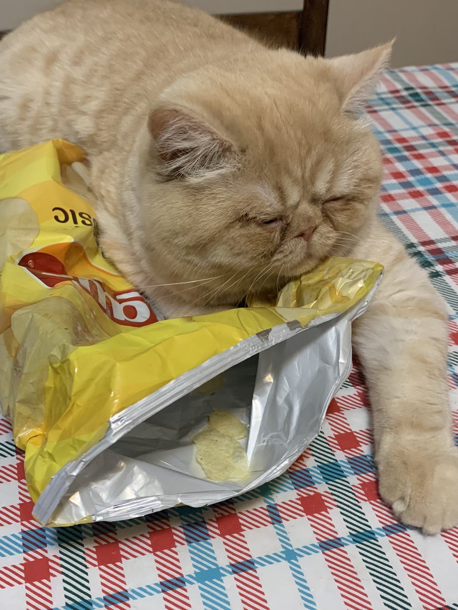 X2000VoltsX's tweet photo. All the air in these @LAYS makes for a very comfy pillow https://t.co/BKE31ND2Lp