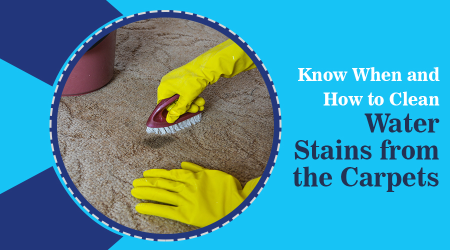 cleaningryan's tweet photo. Know When and How to Clean Water Stains from the Carpets
https://t.co/ofnJSLSh1i #waterstain #carpetcleaning https://t.co/Q7NdNc3reO