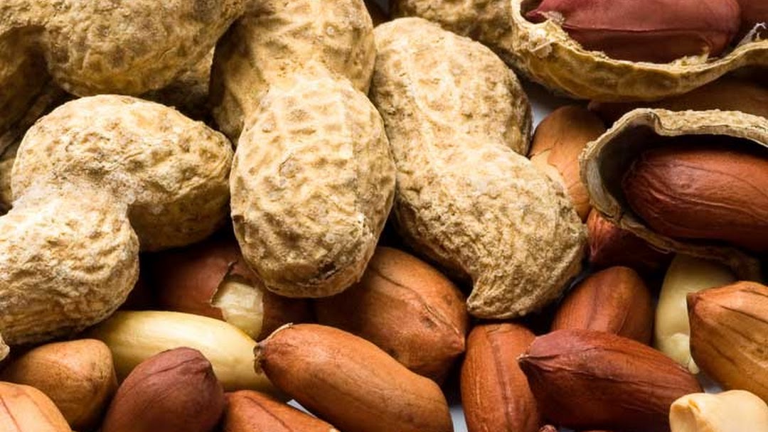 Why should there be a quality check of inshell peanuts?

#inshellpeanut #buyinshellpeanut #inshellpeanutexporters #indianinshellpeanuts #peanutvariety #groundnuts #Unitedinc 

Read More: bit.ly/3i63lw7