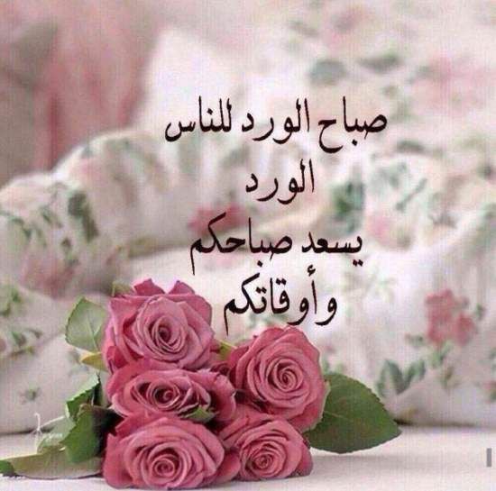 3ashqa01's tweet photo. https://t.co/SoB91pMmO0