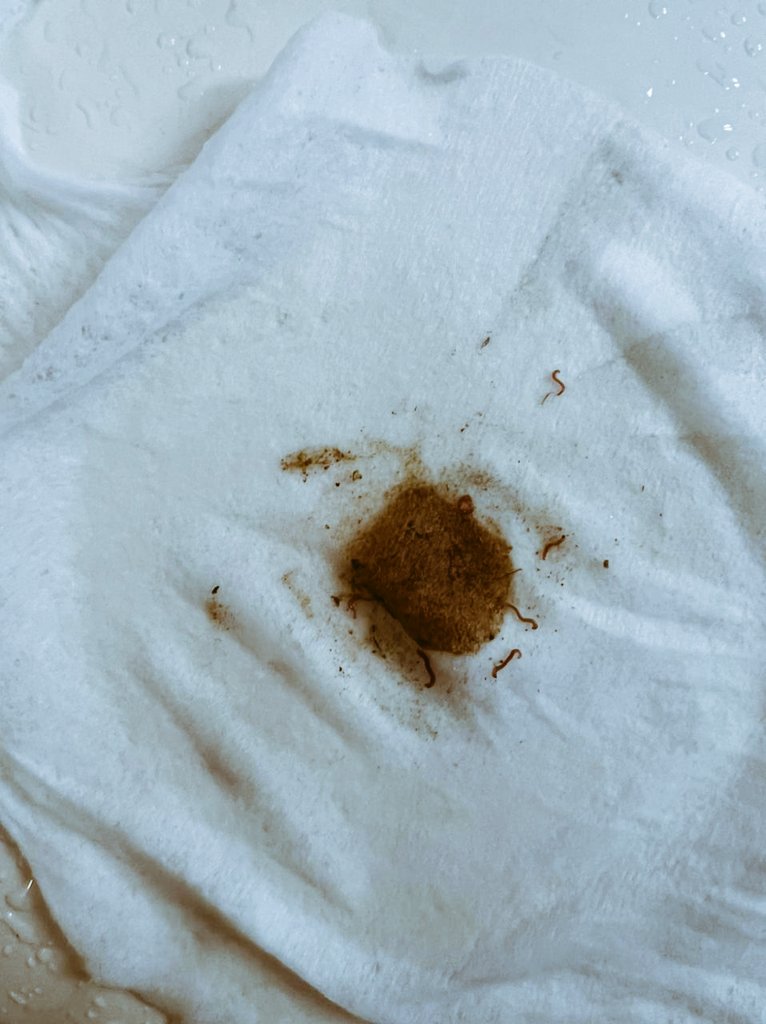 SuperSupriya11's tweet photo. @DelhiJalBoard @uditprakash @Dir_Education @SatyendarJain @AkritisagarIAS @CMODelhi @raghav_chadha @DelhiJalBoard @SatyendarJain @raghav_chadha @CMODelhi Actual condition of water supply in Shivalik, Malviya Nagar. Kindly look into the situation, this is severely affecting health of the residents! May be a poster of this in your competition will make you take action.#Djb4You https://t.co/ZTc9X6ozXz