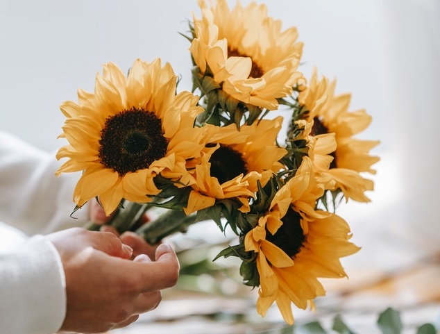 My good friend Abbie White  is running a #charityevent for #Ukraine Red Cross on  24th March. A hybrid virtual &amp; in-person event &amp; she has gathered an epic lineup of women! The goal is to raise $25k so we need your help! 
Click the link :
charityevent.salesredefined.com.au