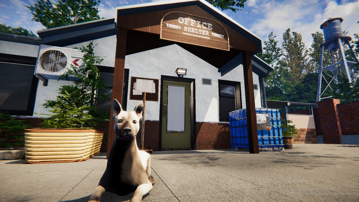 4GamerNews's tweet photo. 動物保護施設の運営シム「Animal Shelter」が3月23日に日本語対応でリリースへ。不運な犬や猫たちの世話して里親を探してあげよう

https://t.co/o2cAIYxBEi https://t.co/JQhAQYxbf2