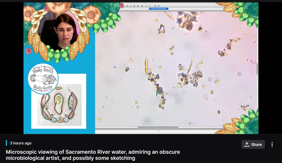 0RG4N1C's tweet photo. is that a hand drawn & painted #videoframe??? #twitchstreamer
https://t.co/L9jvfCUhyq https://t.co/i0jVFmp0Ze