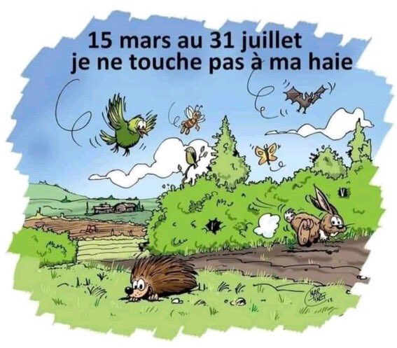 BiodiversiteFR's tweet photo. Pour protéger les oiseaux pendant la période de nidification, il est déconseillé de tailler les haies du 15 mars au 31 juillet. https://t.co/HXQF4QeXBW